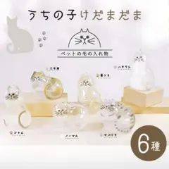 6個セット けだまだま 猫の毛入れ キーホルダー 猫 コンプリート メモリアル