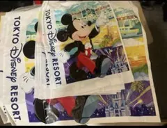 東京ディズニーリゾート ショップ袋　6枚セット