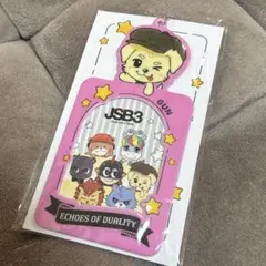 岩田剛典 フォトカードケース