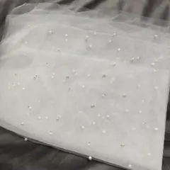 Item thumbnail for item 34391368-ea2a-416f-90b6-9f7241b8c2cb