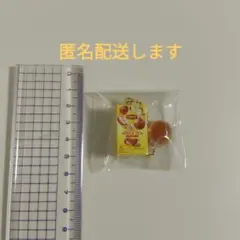 リプトンミニチュアチャーム（ アップルティー）