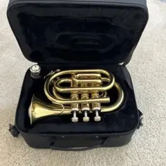 2026年最新】コルネット マウスピースの人気アイテム - メルカリ