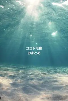 ココトモ様おまとめ