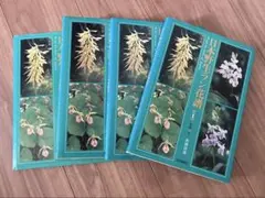 2026年最新】野生蘭の人気アイテム - メルカリ