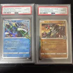 2連番PSA10】グラードン カイオーガ 25周年 - メルカリ