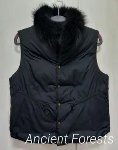 2025年最新】ancient forestsダウンベストの人気アイテム - メルカリ