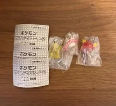 ポケモン　めじるしアクセサリー2