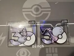 30th マグネット 中国ポケモンセンター限定 カモネギ ネギガナイト