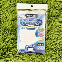 GUNZE(グンゼ) 布製マスク 2枚入り フリーサイズ日本製 洗濯可能立体型のサムネイル