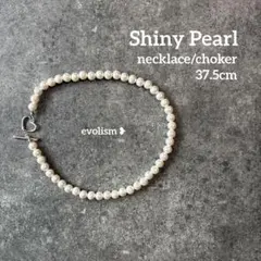 Item thumbnail for item 1eb1b0c5-fb33-49a2-ac26-75c871633977