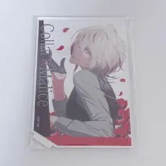 カラマリ アクスタ 岡崎契