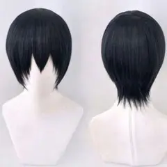 銀魂 志村新八 コスプレウィッグのサムネイル
