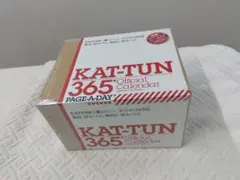【未開封】KAT-TUN 365日 2010-2011日めくりカレンダー