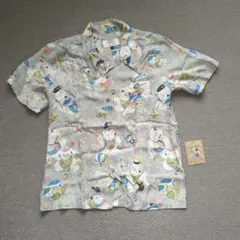 Item thumbnail for item 8103f080-c50f-4156-a6ee-e0699eb27e44