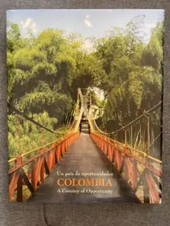 国内盤 Puka Soncco Danzas Incas 国内盤 Puka Soncco Danzas Incas - メルカリ