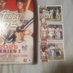 Item thumbnail for item 84e999fd-acca-4c86-b26b-fd9a22c086bc