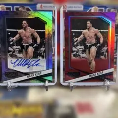 Item thumbnail for item b1b3baf0-266e-4228-9415-cd31f5ddba93