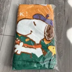 Item thumbnail for item c703733f-f734-4f5f-a10f-d3b6ac7dae54