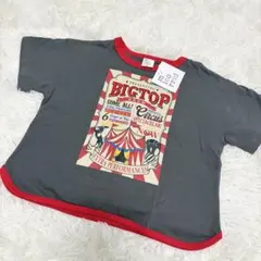 Item thumbnail for item ca9f2be1-731a-4d91-8240-0a8784db93f0