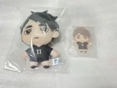 ハイキュー 宮治