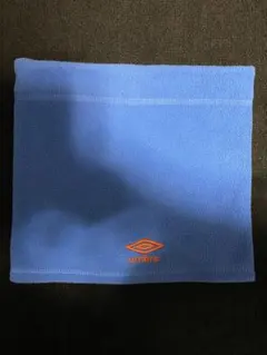 Item thumbnail for item cf6c21f4-7d0f-499d-b6de-2d3565b343dc