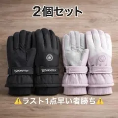 スノーグローブ 手袋 2個セット 最安値 レディース メンズ 黒 紫 スキー 雪
