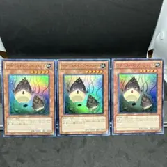 ナチュル・バンブーシュート 3枚セット DREV-JP029 スーパー　⑤
