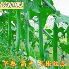 businiao様 リクエスト 3点 まとめ商品