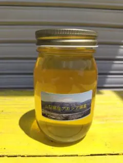 山梨県産　アカシア蜂蜜　600g（ビン）　1本入り　2025年5月採り
