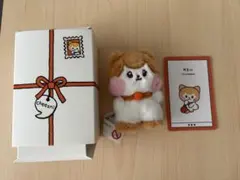 2026年最新】ive minive minini ぬいぐるみの人気アイテム - メルカリ
