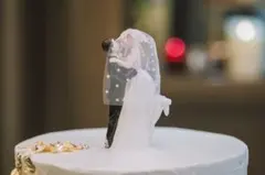 新郎新婦 ケーキトッパー 陶器製 ベール付き