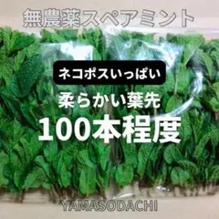 ✨️スペアミント　葉先100本くらいのサムネイル