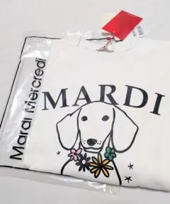 Item thumbnail for item e961689f-3878-402b-bffc-72c60051d1b7