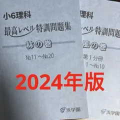 2026年最新】浜学園 小6 最高レベル特訓 テキストの人気アイテム
