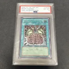 2026年最新】洗脳ブレインコントロール レリーフの人気アイテム - メルカリ
