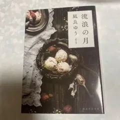 流浪の月