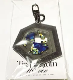 あんスタ あんさんぶるスターズ スタライ Dream live 9th 特典