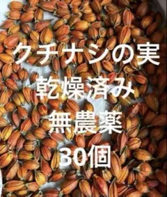 クチナシの実 無農薬 乾燥済みのサムネイル