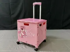 Item thumbnail for item 655021c4-eeaa-474a-87af-60c5ed2c7e48