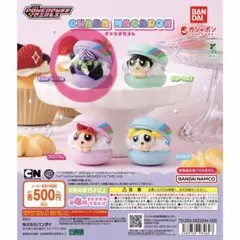 パワーパフガールズ きゃらまかろん