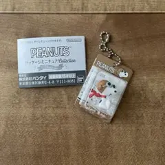 Item thumbnail for item 52ab235a-9079-4abb-899d-2ca7430331ec