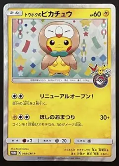 ら*い様 ヒロシマピカチュウ トウホクピカチュウ ポケモンカード トウホクのピカチュウ ヒロシマのピカチュウ - メルカリ