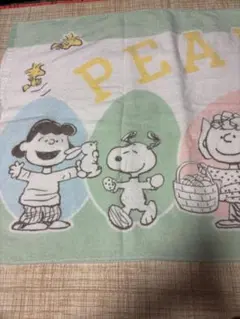 PEANUTS スヌーピー 大判バスタオルのサムネイル