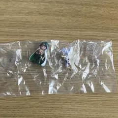 ワンピの実　第二十四海戦　ニカ　モンキー・D・ルフィ　アラマキカプセルなし