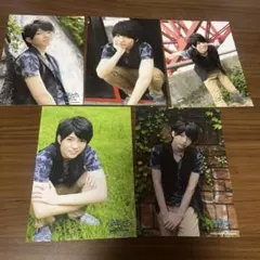 西畑大吾　フォトセット　5枚