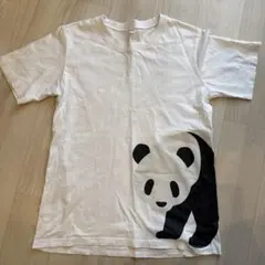 無印良品 パンダプリント Tシャツ 150cmのサムネイル