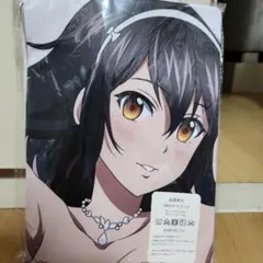 2026年最新】姫柊雪菜抱き枕カバーの人気アイテム - メルカリ