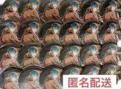 白膠木簓　缶バッジ　リーダーズ　24個