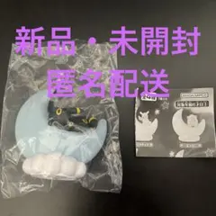 ポケモン ポケットモンスター おっきなお月さまライトマスコット ブラッキー