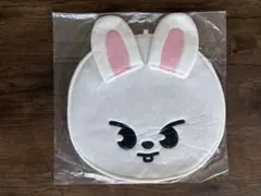 StrayKids リノ LeeKnow Leebit SKZOO うちわケース